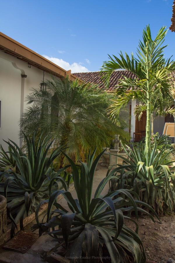 Casa Carina Hotel Granada Kültér fotó